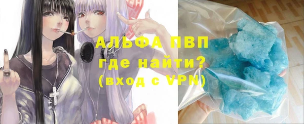шишки Сосновка