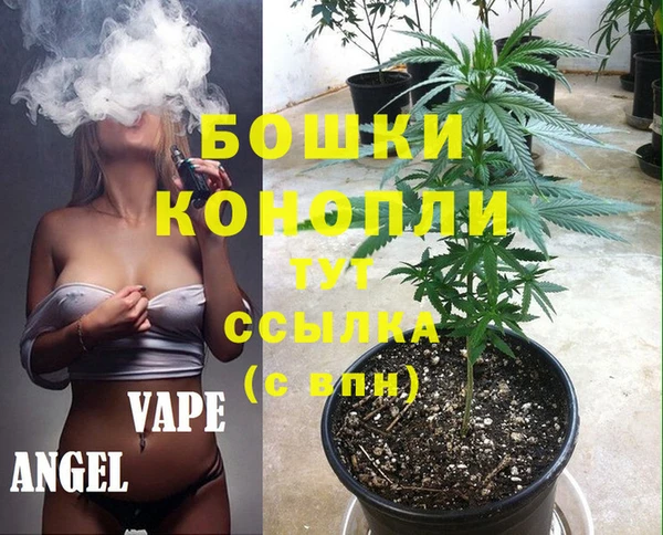 шишки Сосновка