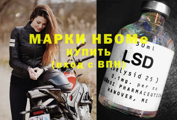 прущие грибы Сосновоборск