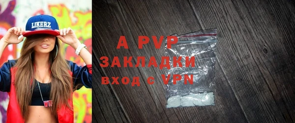 гидра Сосновый Бор