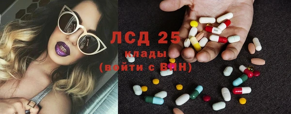 шишки Сосновка
