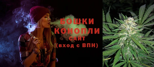 гидра Сосновый Бор